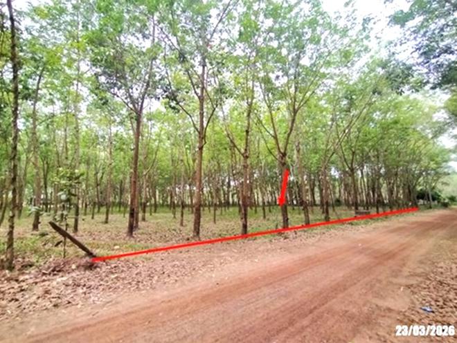 picture LAND 7306 Sq.w. Ban Dung Udon Thani for 2.2M - 1/18