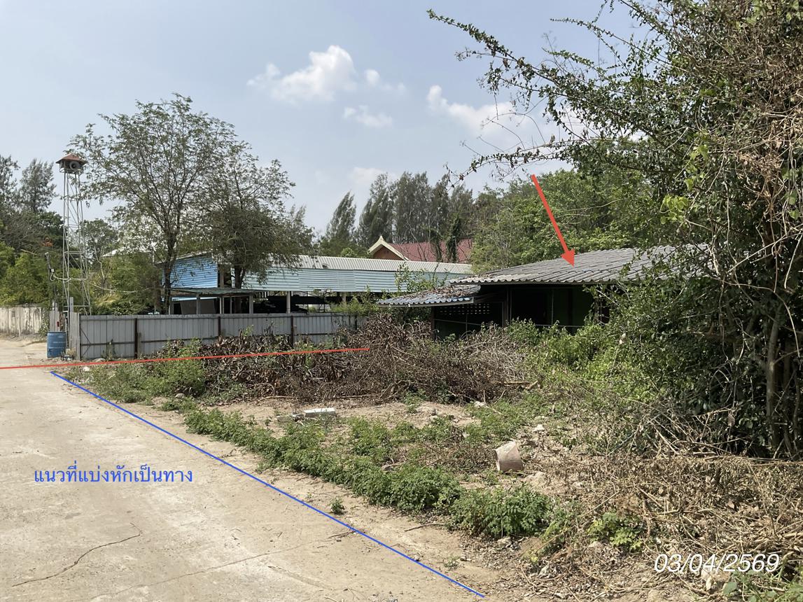 รูป บ้านเดี่ยว 432 ตร.วา พนมสารคาม ฉะเชิงเทรา 1.5M - รูปที่ 20/24