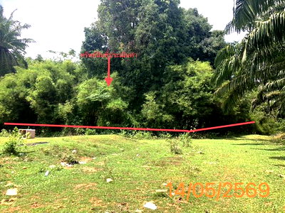 ที่ดินว่างเปล่า 1120 ตร.วา คลองท่อม กระบี่ 1.8M