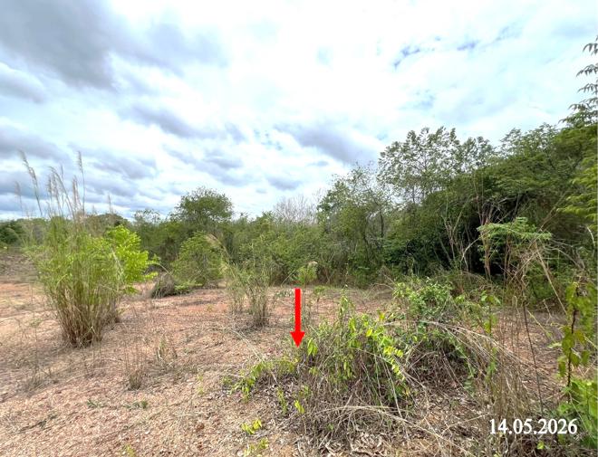 รูป ที่ดินว่างเปล่า 6813 ตร.วา ลอง แพร่ 3.7M - รูปที่ 6/26