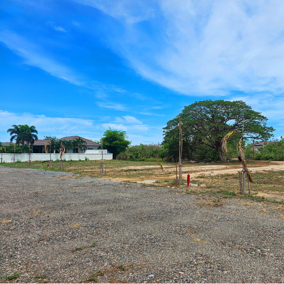 รูป ขายที่ดินชะอำ 128 ตร.ว. ราคา 750,000 บาท โฉนด นส.4 พร้อมโอน เจ้าของขายเอง - รูปที่ 7/8