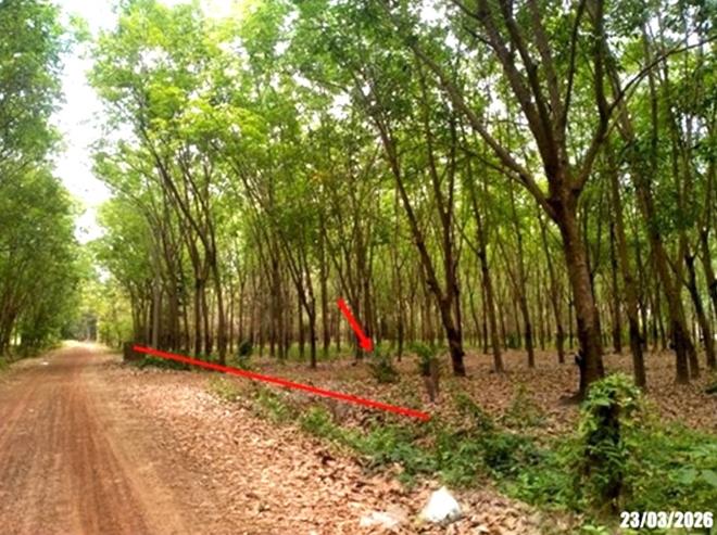 picture LAND 7306 Sq.w. Ban Dung Udon Thani for 2.2M - 2/18