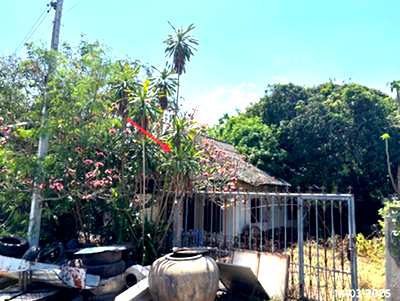 บ้านเดี่ยว ปากท่อ ราชบุรี : บ้านเดี่ยว 101 ตร.วา อัมพวา สมุทรสงคราม 1.7M