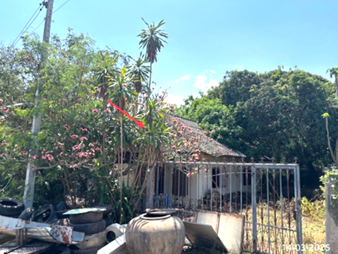 รูป บ้านเดี่ยว 101 ตร.วา อัมพวา สมุทรสงคราม 1.7M - รูปที่ 1/10