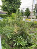 listing thumbnail image 5