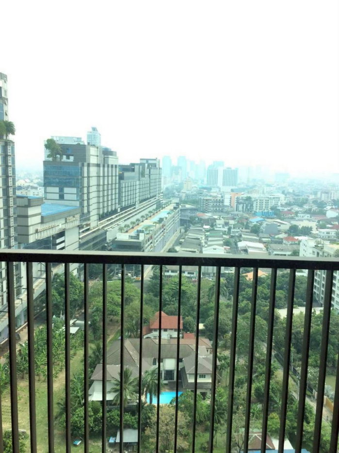 รูป ให้เช่าคอนโดวิสดอม Whizdom Avenue รัชดาลาดพร้าว - รูปที่ 8/8