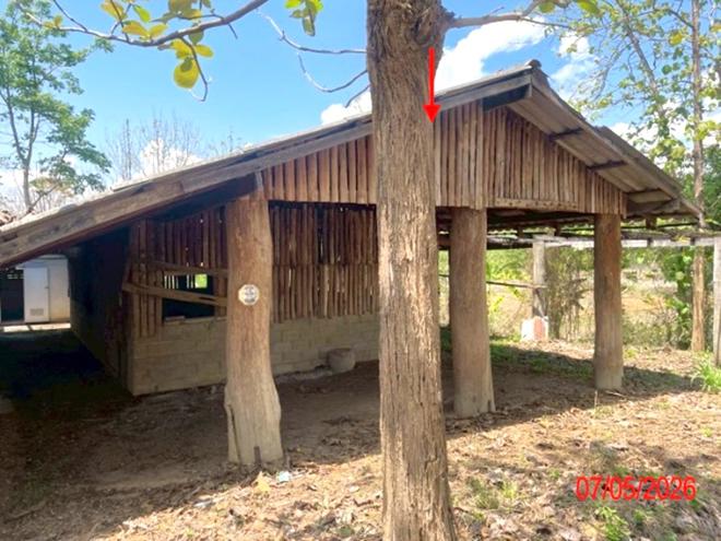 picture HOME 867 Sq.w. Chae Hom Lamphang for 468,000 - 10/32
