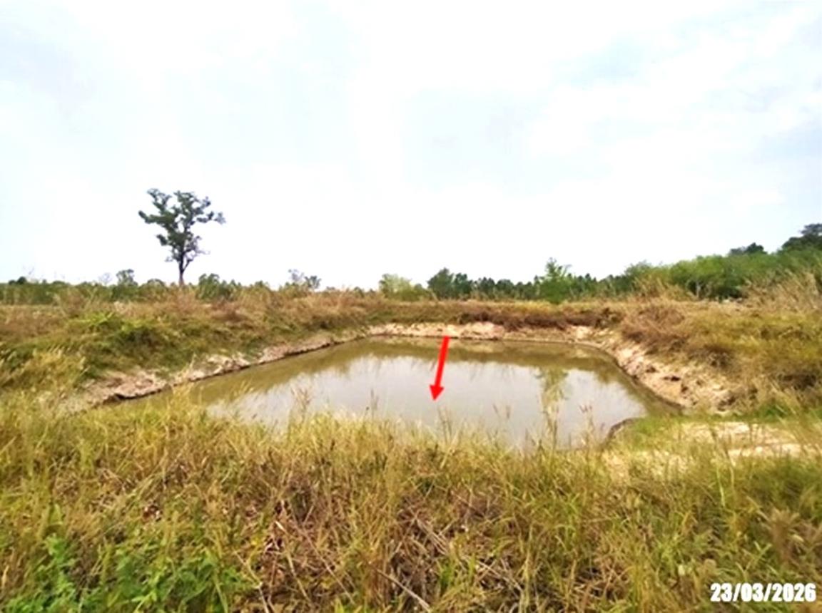 picture LAND 7306 Sq.w. Ban Dung Udon Thani for 2.2M - 12/18