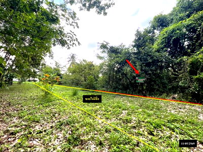 ที่ดิน สกลนคร : ที่ดินว่างเปล่า 179 ตร.วา ส่องดาว สกลนคร 286,000