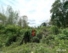 listing thumbnail image 9