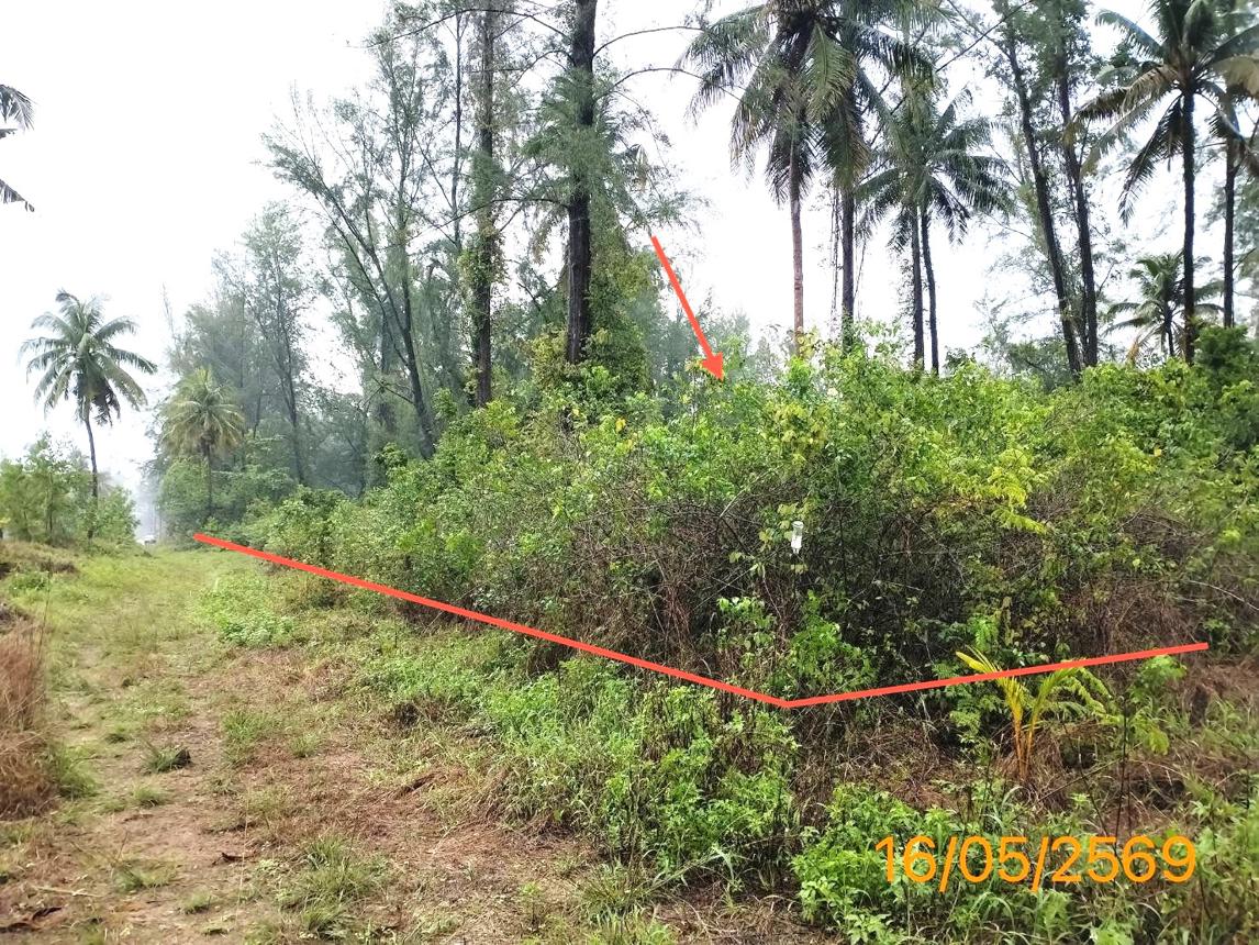 รูป ที่ดินว่างเปล่า 10953.7 ตร.วา ตะกั่วป่า พังงา 76.7M - รูปที่ 7/14