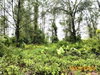 listing thumbnail image 4