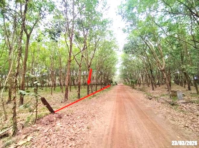 picture LAND 7306 Sq.w. Ban Dung Udon Thani for 2.2M - 6/18
