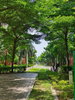 listing thumbnail image 10