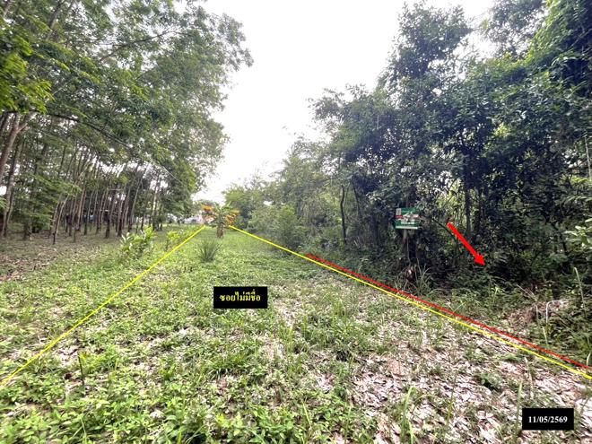 รูป ที่ดินว่างเปล่า 179 ตร.วา ส่องดาว สกลนคร 286,000 - รูปที่ 6/18