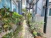 listing thumbnail image 19