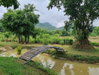 listing thumbnail image 17