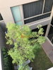 listing thumbnail image 26