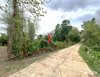 listing thumbnail image 19