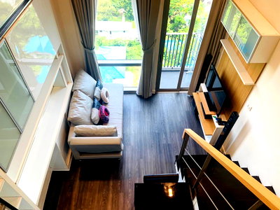 Condos for rent : Pets Allowed  IDEO Morph 38   300m to BTS Thong Lo Free Shuttle Service