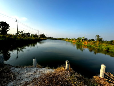 ที่ดิน ม.กรุงเทพสุวรรณภูมิ : 🛣️ ทำเลทองลาดกระบัง! ขายที่ดินสวย 2 ไร่ 56 ตร.ว. ติดถนนใหญ่ 4 เลนตัดใหม่ ใกล้วัดสุทธโภชน์ ทับยาว ✨