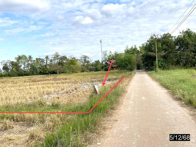 รูป ที่ดินว่างเปล่า 880 ตร.วา เมืองกาฬสินธุ์ กาฬสินธุ์ 836,000 - รูปที่ 3/14