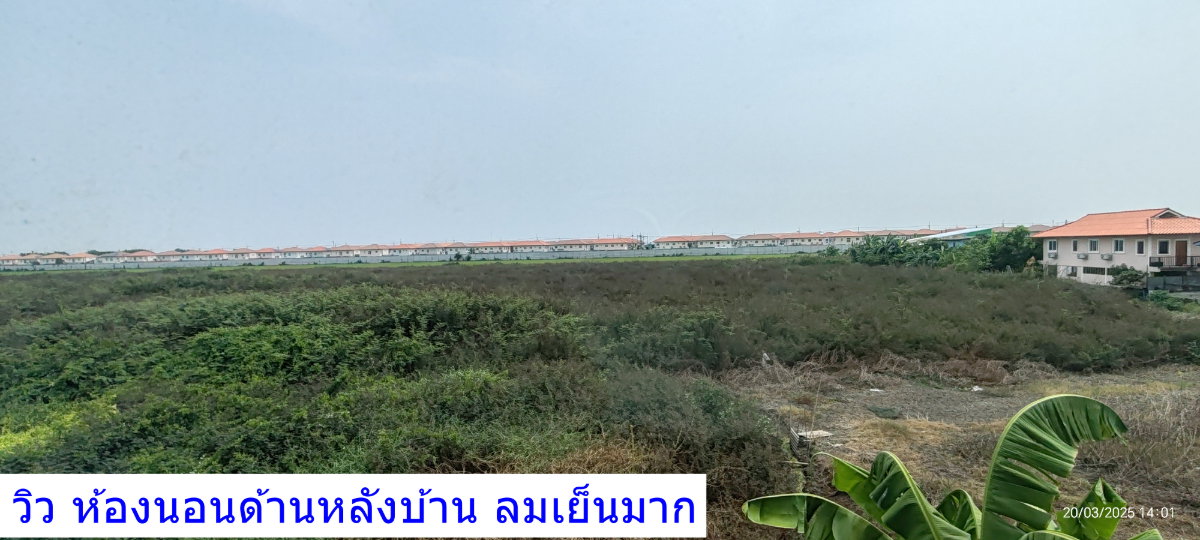 รูป ขายทาวน์เฮ้าส์ 2 ชั้น บ้านพฤกษา รังสิต–คลอง 4 เฟส 1 - รูปที่ 12/13