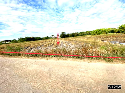 Land for sale : LAND 880 Sq.w. Muang Kalasin Kalasin for 836,000
