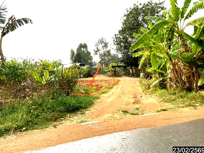 LAND 752.5 Sq.w. Chok Chai Nakhon Ratchasima for 1.1M
