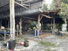 listing thumbnail image 29