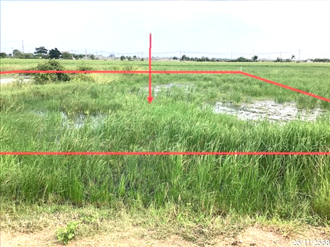picture LAND 180 Sq.w. Ban Laem Petchburi for 450,000 - 1/14