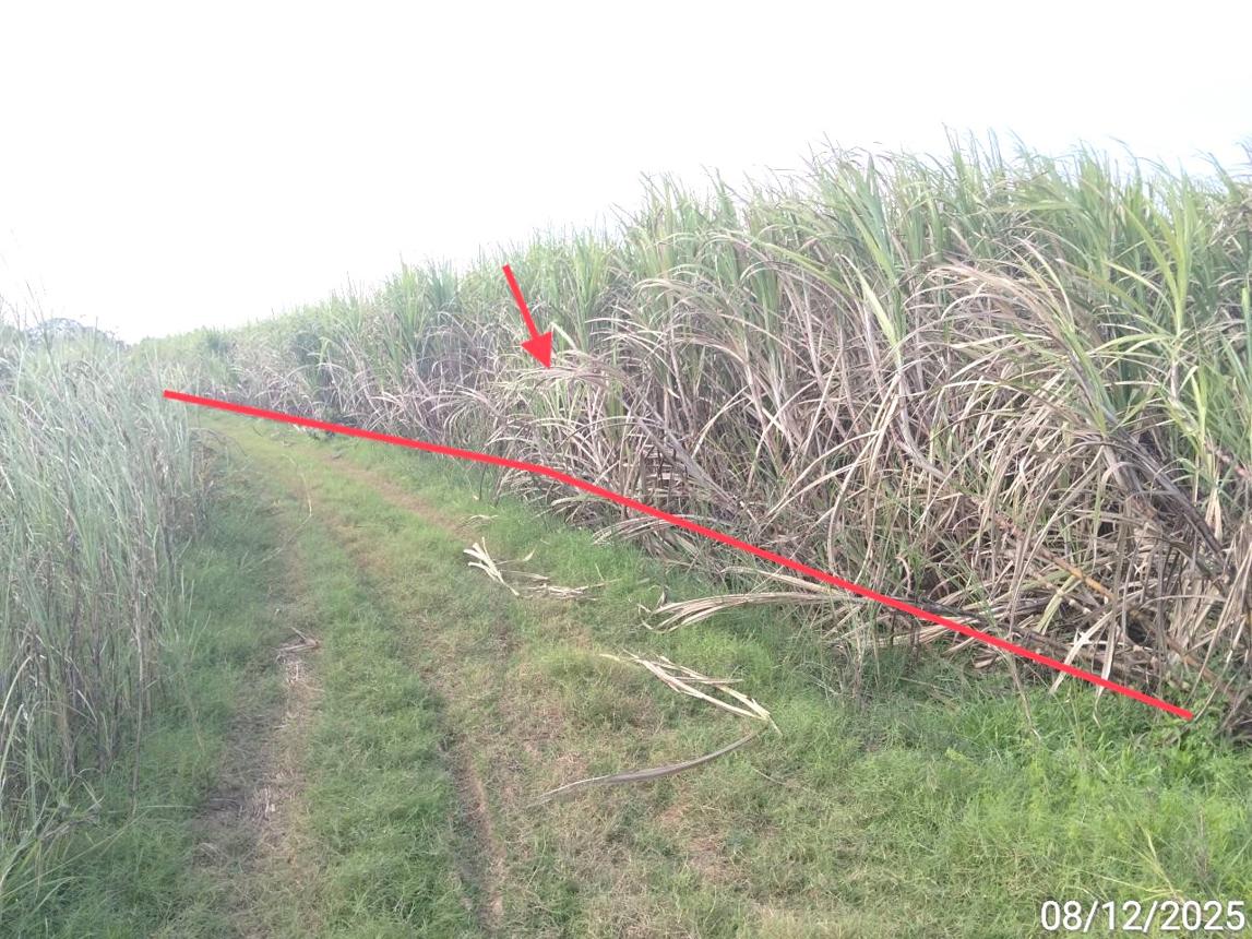 picture LAND 2743 Sq.w. Kaeng Sanam Nang Nakhon Ratchasima for 686,000 - 7/16