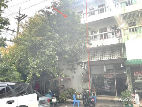 picture SHOP HOUSE 35.1 Sq.w. Muang Samut Sakhon Samut Sakhon for 3.2M - 37/40