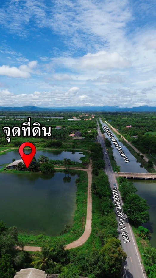 รูป ขายที่ดิน 250 ไร่ ตำบลหนองหมู อำเภอวิหารแดง จังหวัดสระบุรี ที่ดินแปลงใหญ่ เหมาะทำการเกษตรและลงทุน - รูปที่ 4/13