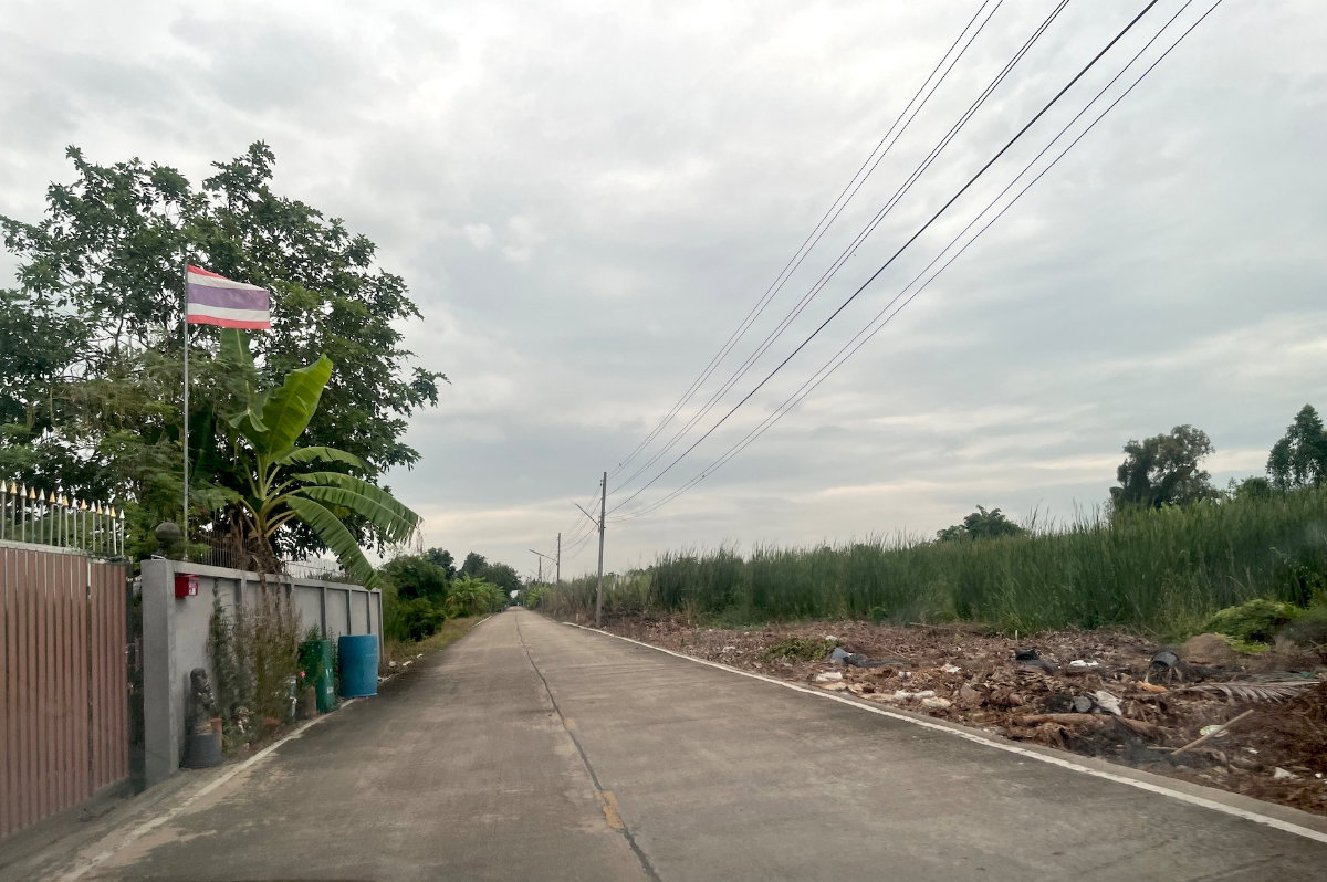 รูป ขายที่ดิน 1 ไร่ คลอง 10 หนองเสือ ปทุมธานี - รูปที่ 8/13