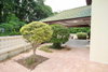 listing thumbnail image 14