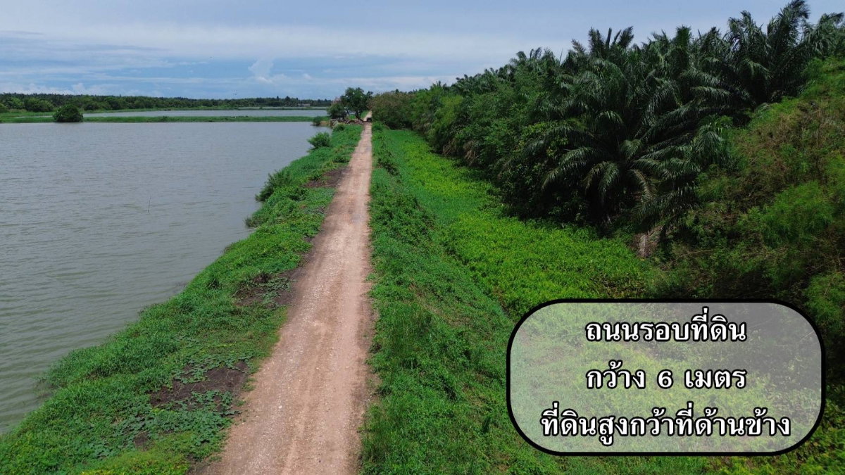รูป ขายที่ดิน 250 ไร่ ตำบลหนองหมู อำเภอวิหารแดง จังหวัดสระบุรี ที่ดินแปลงใหญ่ เหมาะทำการเกษตรและลงทุน - รูปที่ 5/13