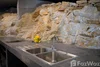 listing thumbnail image 31