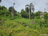 listing thumbnail image 7