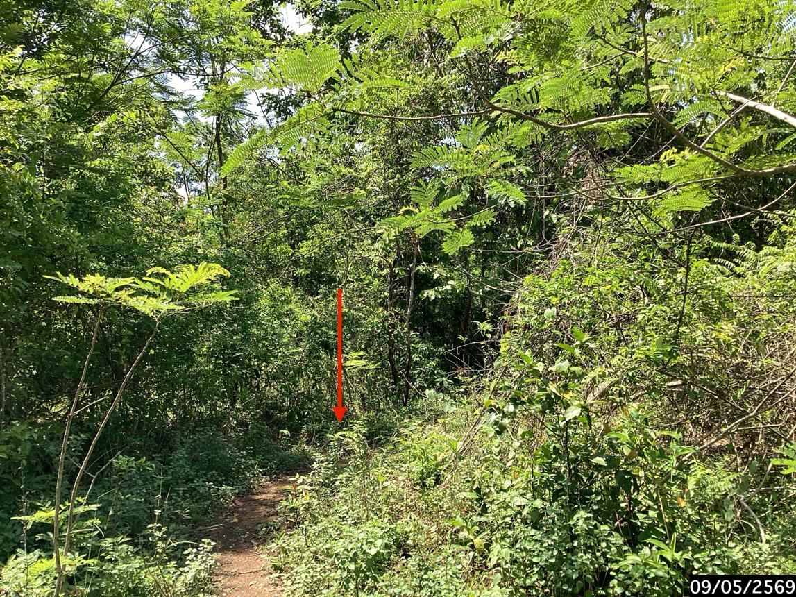 รูป ที่ดินว่างเปล่า 1815 ตร.วา กุสุมาลย์ สกลนคร 1.8M - รูปที่ 15/20