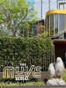 listing thumbnail image 26