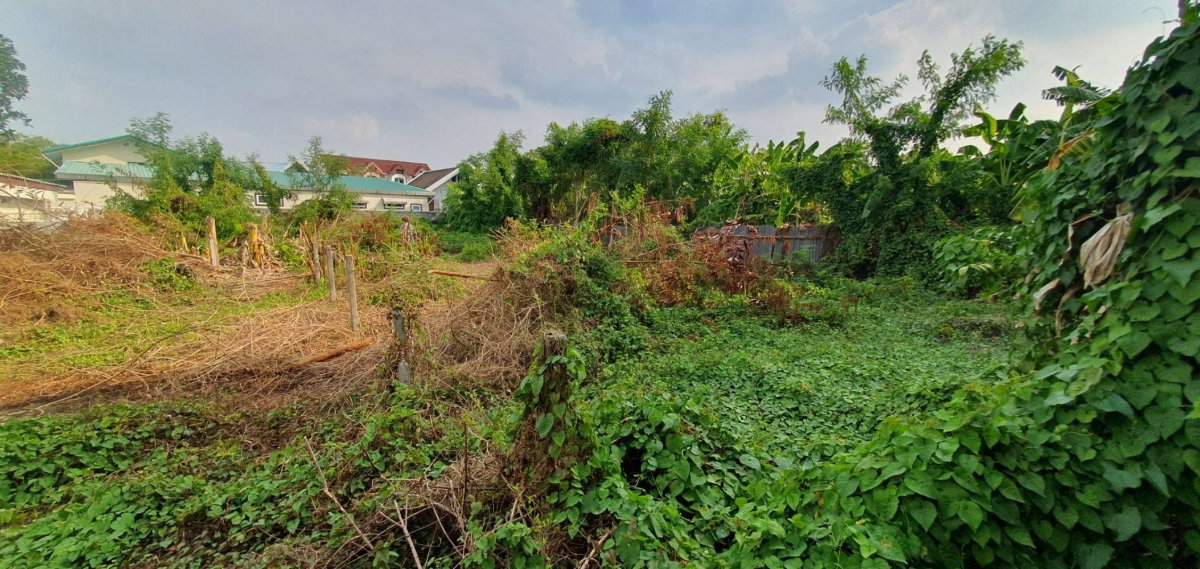 รูป ขายที่ดิน 1 ไร่ 21 ตร.วา พร้อมสิ่งปลูกสร้าง ซอยลาดพร้าว 80 แยก 12 ใกล้ MRT มหาดไทย ราคา 48 ล้านบาท - รูปที่ 9/10