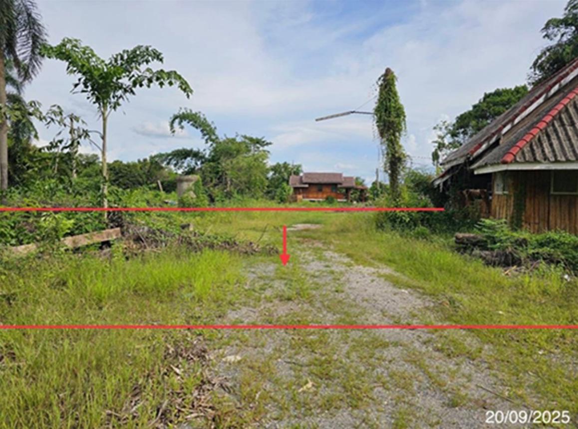 รูป บ้านเดี่ยว 400 ตร.วา เมืองพิษณุโลก พิษณุโลก 1M - รูปที่ 9/14