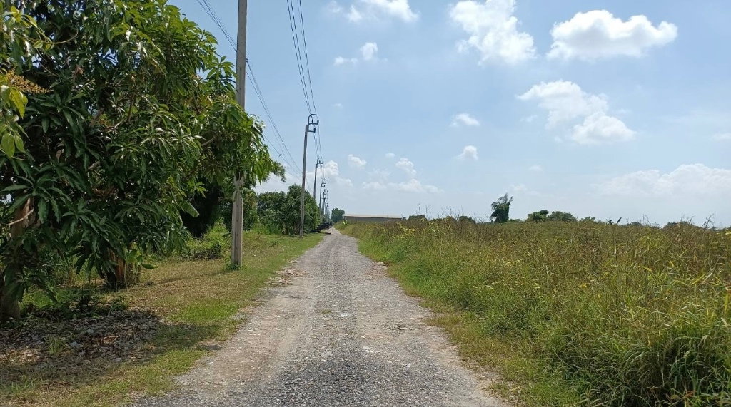 รูป 🛣️ ทำเลทองลาดกระบัง! ขายที่ดินสวย 2 ไร่ 56 ตร.ว. ติดถนนใหญ่ 4 เลนตัดใหม่ ใกล้วัดสุทธโภชน์ ทับยาว ✨ - รูปที่ 3/7