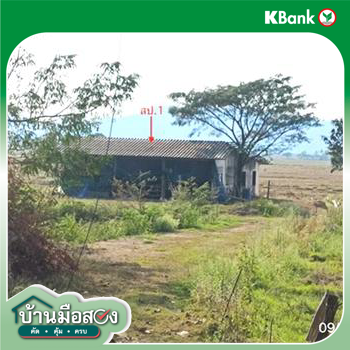 picture FACTORY 3633 Sq.w. Dok Kham Tai Phayao for 5.8M - 12/14