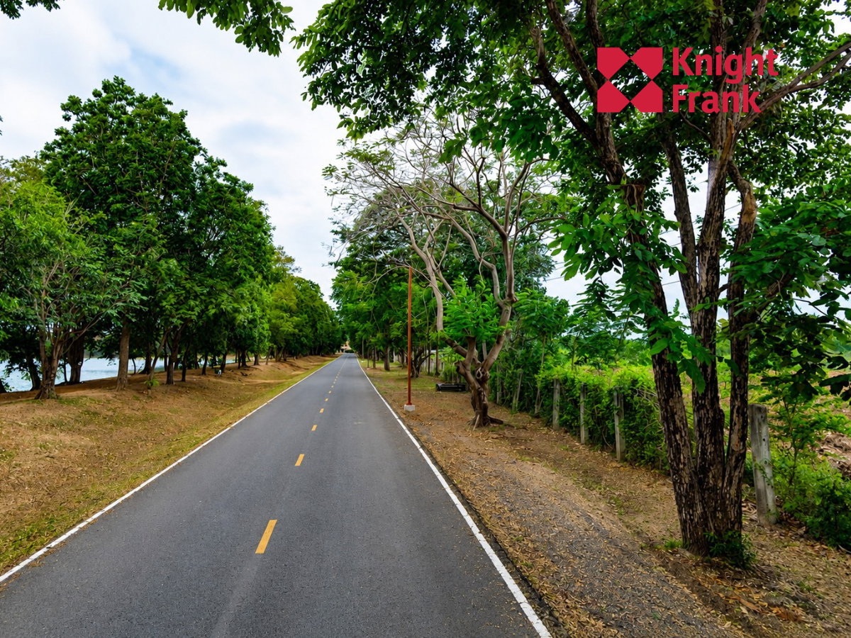 รูป ขายที่ดิน 25 ไร่ ใกล้แม่น้ำมูล อำเภอพิมาย จังหวัดนครราชสีมา - รูปที่ 4/6