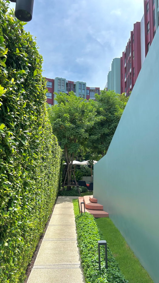 รูป 🎯 The Base Bukit คอนโดห้องใหม่แกะกล่อง วิวธรรมชาติสวย ใจกลางเมืองใกล้เซลทรัลเพียง 3 นาที 🛵 - รูปที่ 14/18