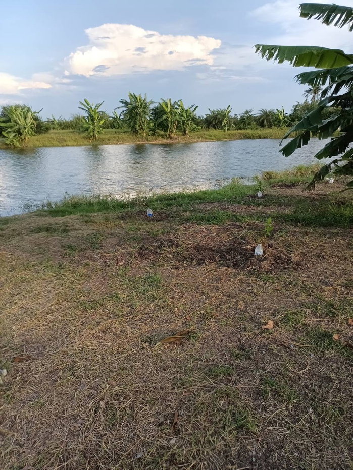 รูป 🛣️ ทำเลทองลาดกระบัง! ขายที่ดินสวย 2 ไร่ 56 ตร.ว. ติดถนนใหญ่ 4 เลนตัดใหม่ ใกล้วัดสุทธโภชน์ ทับยาว ✨ - รูปที่ 2/7