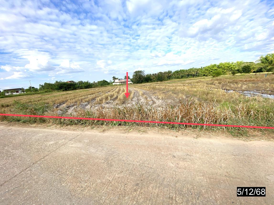รูป ที่ดินว่างเปล่า 880 ตร.วา เมืองกาฬสินธุ์ กาฬสินธุ์ 836,000 - รูปที่ 6/14