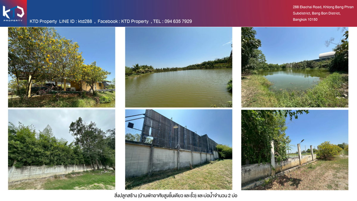 รูป ขายที่ดิน พร้อมโครงการสวนเกษตรอินทรีย์ โทร 0949895553 - รูปที่ 6/7